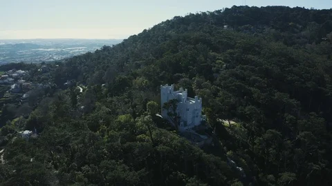 Aerial view; drone flight over the castle on the hill Stock Footage 106119090