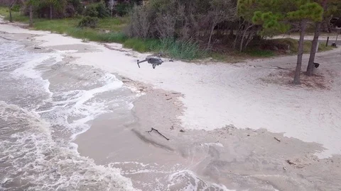 Aerial view of drone in flight over waves on the shore. Stock Footage 128127110