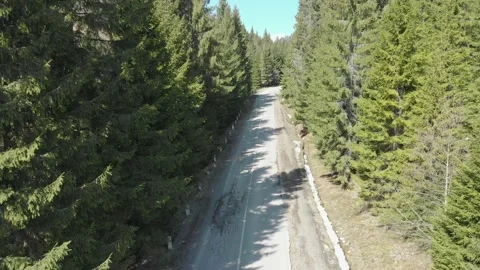 Aerial view from drone: flight over pine forest and country road. Nature, travel Stock Footage 164541124