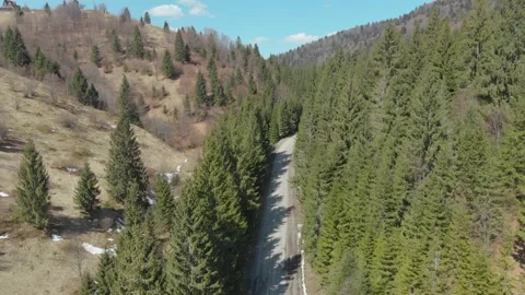 Aerial view from drone: flight over pine forest and country road. Nature, travel Stock Footage 164541216