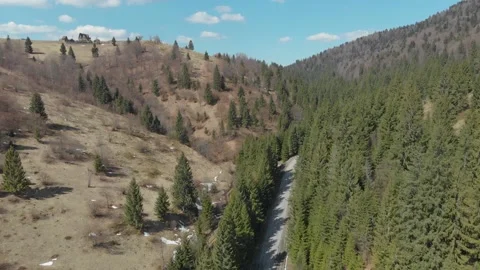 Aerial view from drone: flight over pine forest and country road. Nature, travel 스톡 동영상 164541269