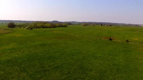 Aerial view Drone fly over agricultural field - bird view Stock Footage 62936107