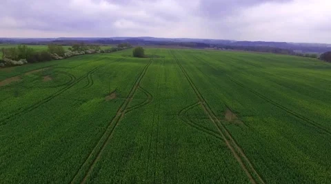 Aerial view Drone fly over agricultural field - bird view Stock Footage 62938310