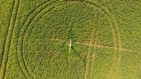 Aerial view Drone fly over agricultural field - bird view Stock Footage 62943672
