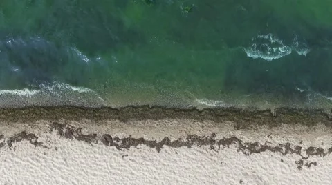 Aerial view Drone fly Over a beach on the baltic coast in Germany Stock Footage 63526259