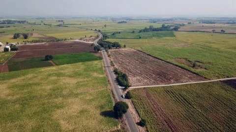 Aerial view of drone fly over of sugar cane field Stock Footage 121628289