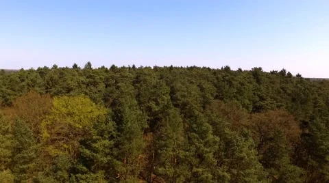 Aerial view Drone fly Shot Over The North European Forest Stock Footage 62938010