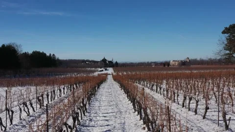 Aerial view; drone flying above winery in Niagara during winter Stock Footage 230249257