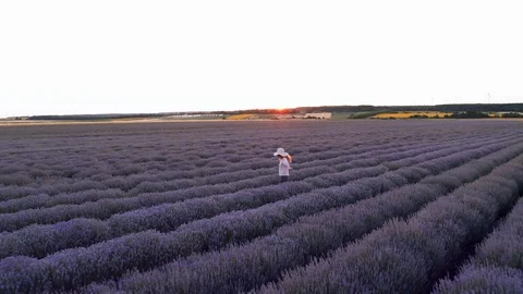Aerial view drone flying back purple field with blooming lavender young woman Stock Footage 119034172