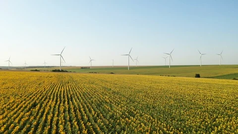 Aerial view from a drone flying backward camera down onto an agricultural field Stock Footage 119034494