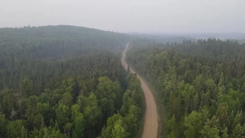 Aerial view from a drone flying forward over a vast northern evergreen forest Stock Footage 276280877