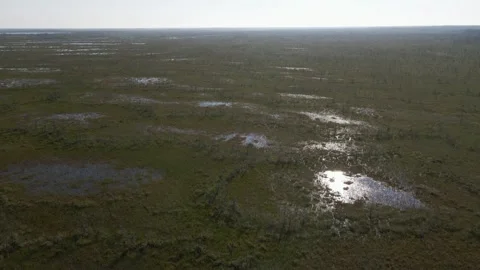 Aerial view from a drone flying forward over a vast northern tundra marsh  Stock Footage 276280963