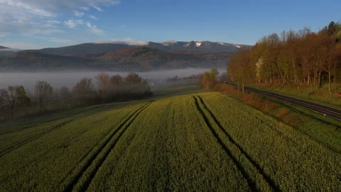 Aerial view of drone flying forward over green field in misty morning. Vídeos de archivo 338301202