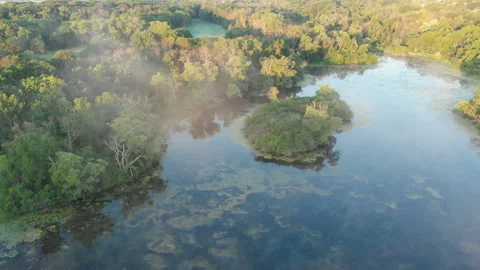 Aerial view, drone flying over water, mist, forest at sunrise Видео 113442492