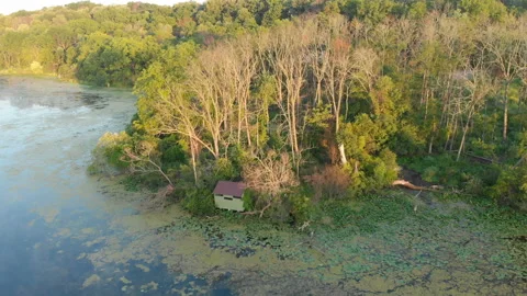 Aerial view, drone flying over water, mist, forest at sunrise Видео 113444175