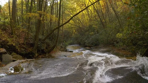 An aerial view from a drone flying over a cascading river in autumn. 動画素材 119035604