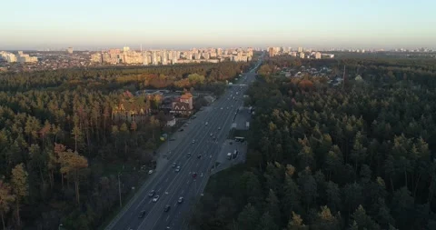 Aerial view. Drone flying over a pine forest and over a road with cars on th Stock Footage 142966419