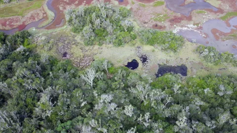 Aerial view of drone flying over wetlands Stock-Footage 145042002