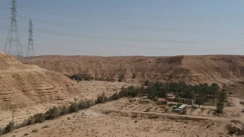 Aerial view from a drone flying over a small date farm in Wadi Hanifa Stock Footage 150252347