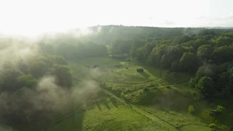 Aerial view drone flying over fog with Nature in morning    horse farm Stock Footage 160183342
