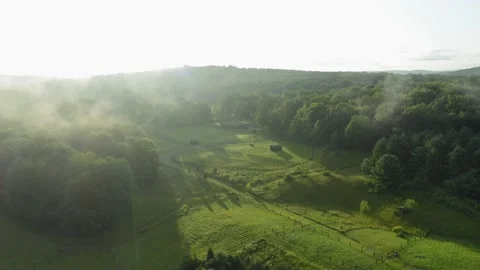 Aerial view drone flying over fog with Nature in morning    horse farm Stock Footage 160183410