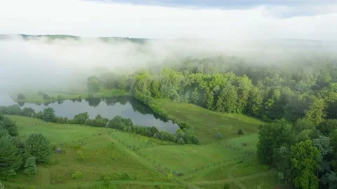 Aerial view drone flying over fog with Nature in morning   cow and horse farm Stock Footage 160183411