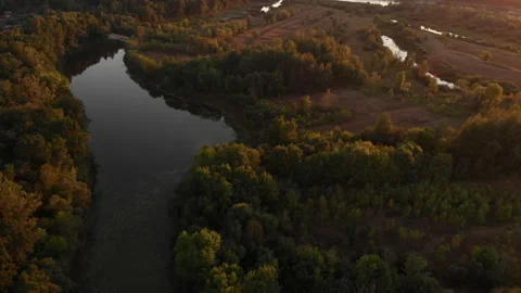 Aerial view from a drone flying over a forest lake during a warm summer sunset.  Stock Footage 169498554