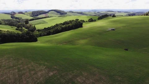 Aerial View From A Drone Flying Over Green Agricultural Fields And Forests Stock Footage 191584163
