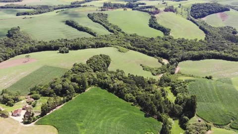 Aerial View From A Drone Flying Over Green Agricultural Fields And Forests Stock Footage 191584532