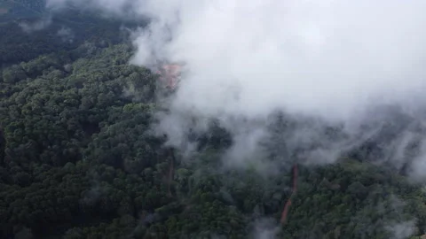 Aerial view from a drone flying over a foggy rural village in winter. Vidéo 222467503