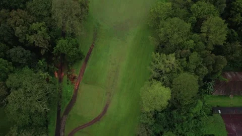 Aerial view drone flying over green grass field and forest Stock Footage 248757455