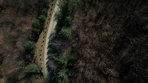 Aerial view from drone flying over a mountain trail in Romania Stock Footage 270049873