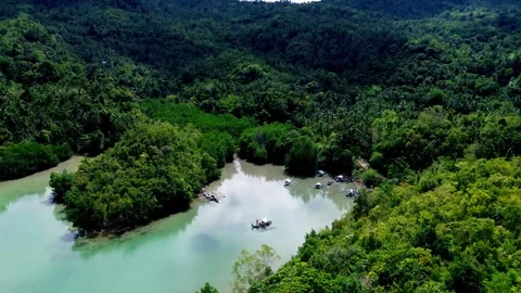 Aerial view with a drone flying over the lush forested mountains to reveal Stockbeeldmateriaal 330983128
