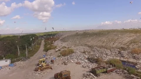 Aerial view. Drone flying through a flock of birds over garbage dump Stock Footage 71378932