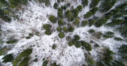 Aerial view from the drone Stock Footage 125698425