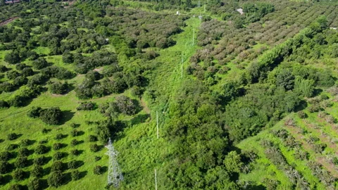 Aerial view by drone of High-voltage poles in the forest.  Video stock 201929137
