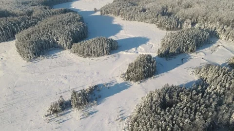 Aerial view from a drone looking down onto a snow covered winter forest  Stock Footage 275833597