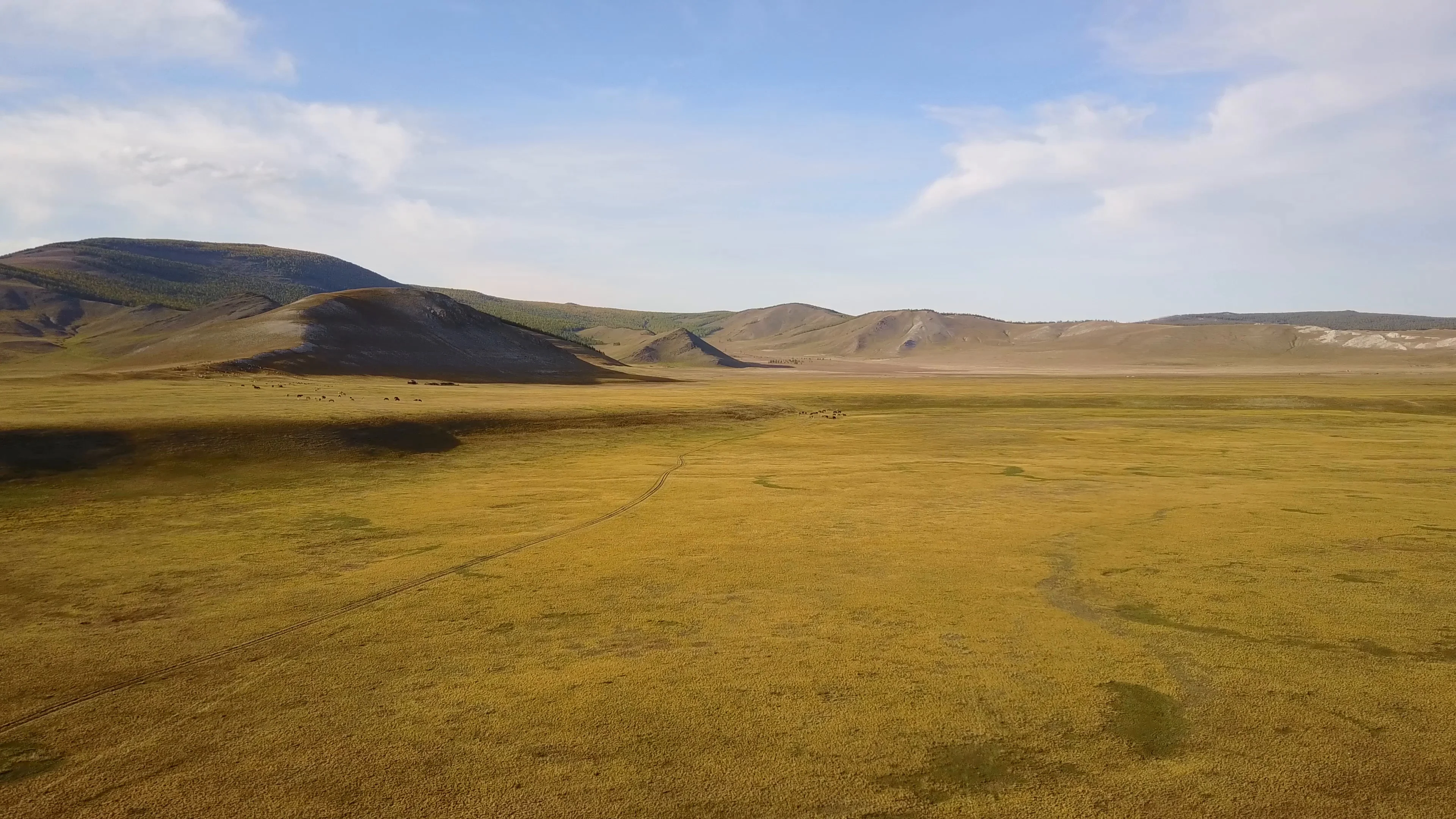 mongolische Steppe