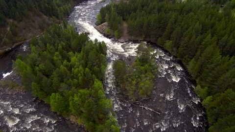 Aerial view from the drone. Mountain river flows among the dense taiga forest. Stock-Footage 104578547