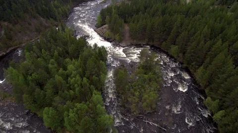 Aerial view from the drone. Mountain river flows among the dense taiga forest. Stock-Footage 104630571