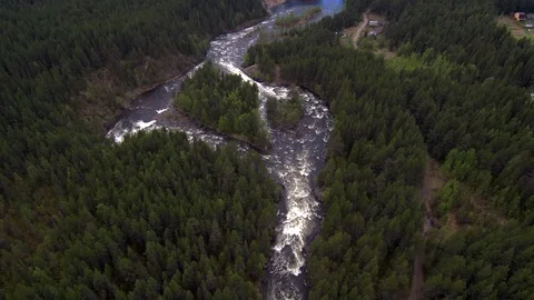 Aerial view from the drone. Mountain river flows among the dense taiga forest. Stock Footage 104630932