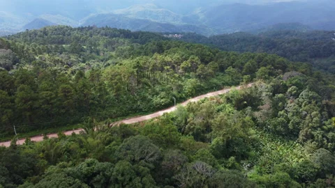 Aerial view from drone of mountain road with sun shining in forest. Vídeos de archivo 222482207