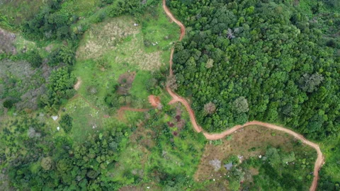 Aerial view from drone of mountain road with sun shining in forest.  動画素材 222492679