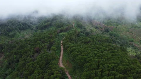 Aerial view from drone of mountain road with sun shining in forest.  動画素材 222502242