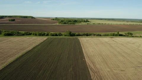 Aerial view; drone moving forward over the agricultural field Stock Footage 109589494