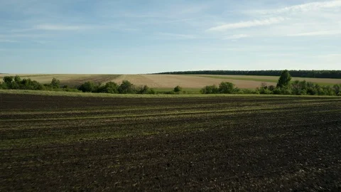 Aerial view; drone moving forward over the agricultural field Stock Footage 109590020
