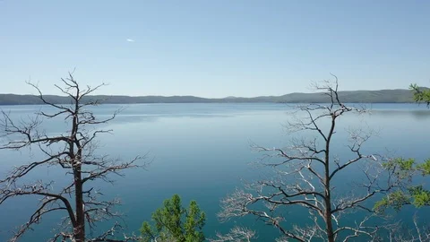 Aerial view; drone moving forward between coniferous trees Video stock 110169342