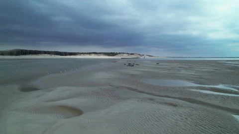 Aerial view by drone of natural bay with sea lions Stockbeeldmateriaal 166310715