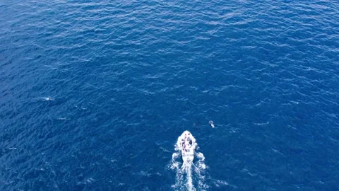 Aerial view drone over beach sea. Video stock 299735046