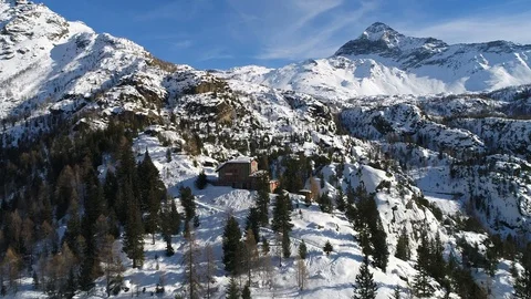 Aerial view with drone over the forest in winter season Stock Footage 85503877